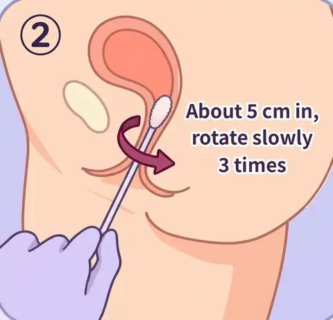 Step 2: about 5 cm in, rotate slowly 3 times